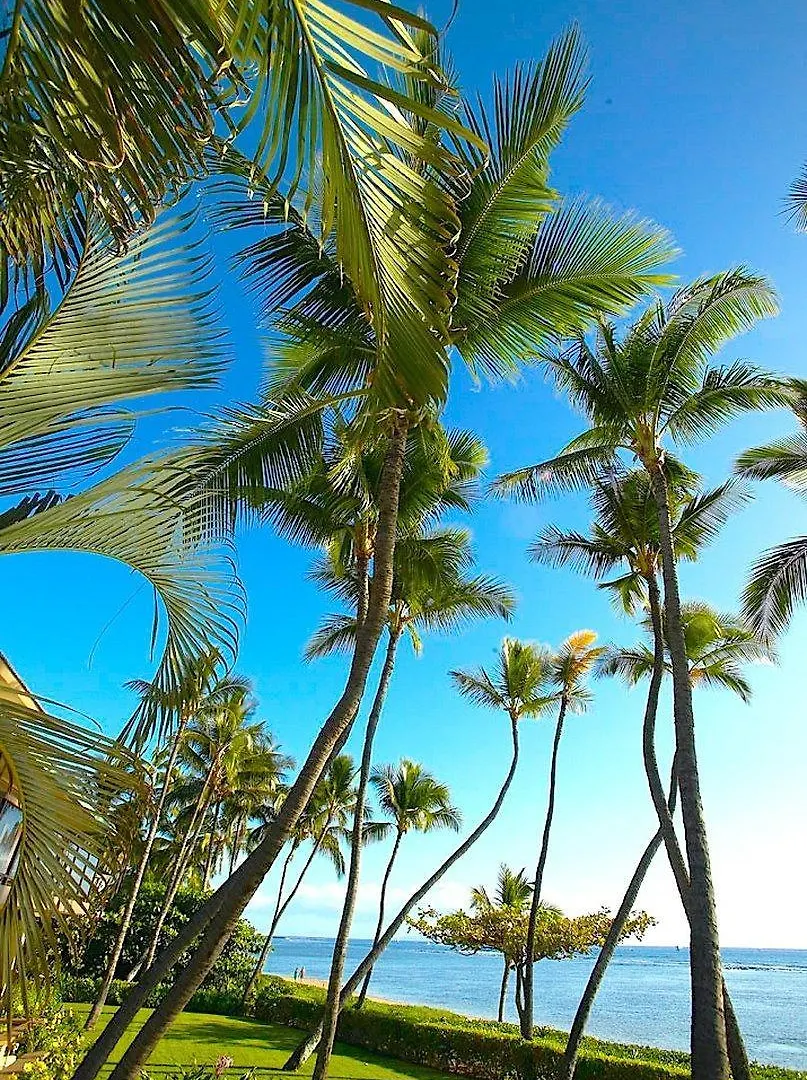 **** Aparthotel Puunoa Beach Estates, A Destination By Hyatt Residence Lahaina United States